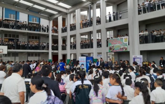 Año Escolar 2024: ¿Cómo impactarán las cuatro nuevas materias?