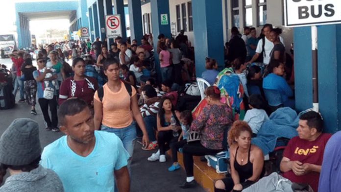 Tumbes: Se registra la salida de más de 5 mil migrantes