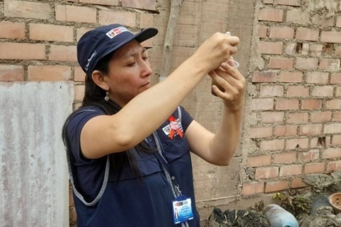 Intervendrán 300.000 viviendas para control de dengue