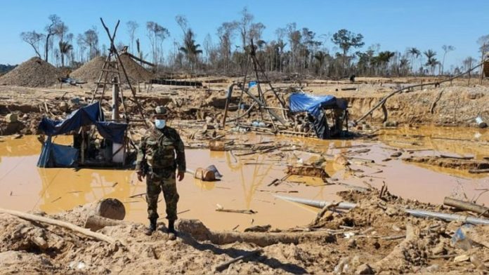Mafias de la Minería ilegal en cinco regiones Mafias de la Minería ilegal en cinco regiones