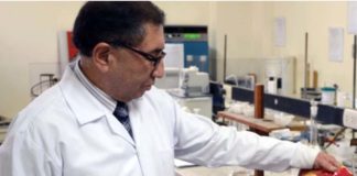 Así reconoces un ‘panetón bamba’