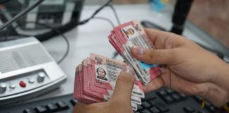 Carnés de permisos temporales de permanencia (CPP)