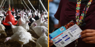 Conoce horarios y lugares para canjear tu vale de pavo