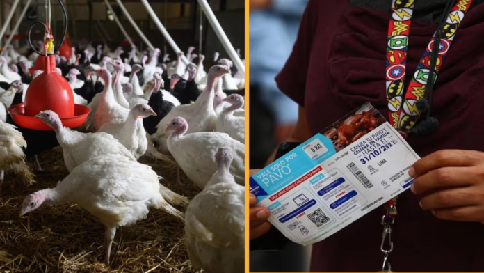 Conoce horarios y lugares para canjear tu vale de pavo