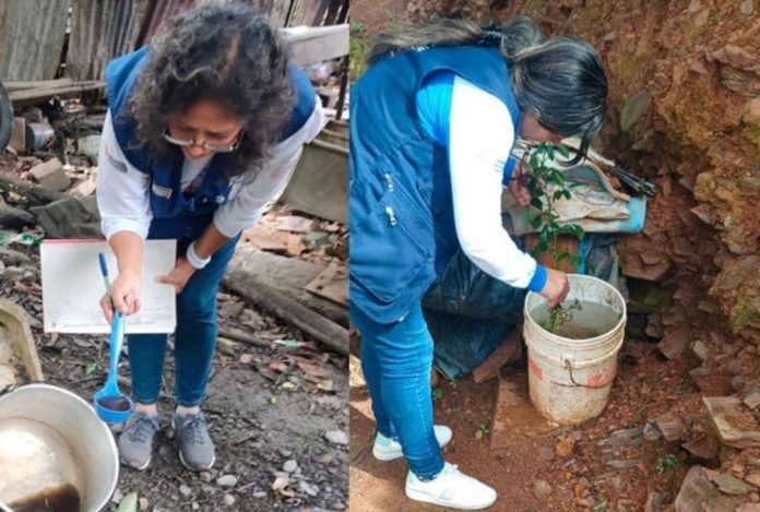 Intervendrán 9,000 viviendas en Cusco para prevenir el dengue