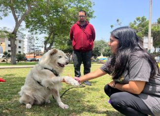 Brigada Canina ofrece clases gratuitas de adiestramiento para mascotas en Pueblo Libre