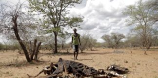 África: Zimbabue sufre sequía severa por El Niño