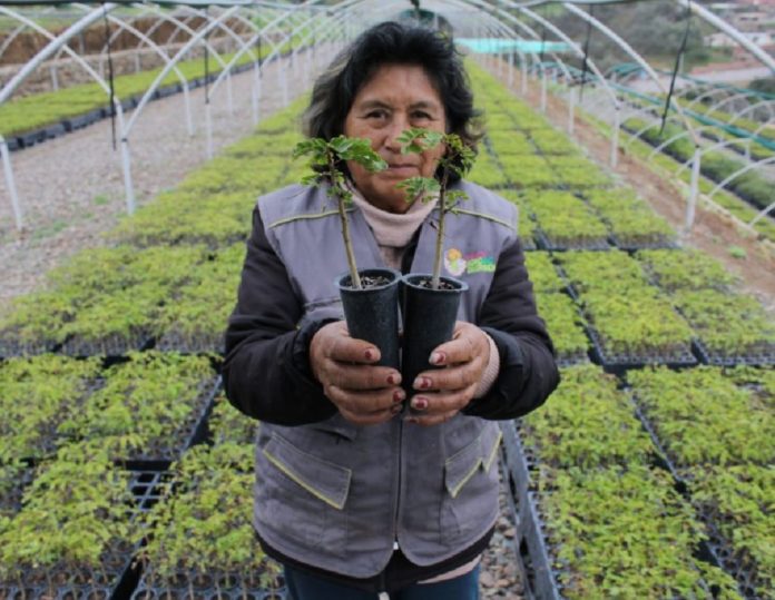 ¡Postula aquí! Financiamiento para proyectos ambientales