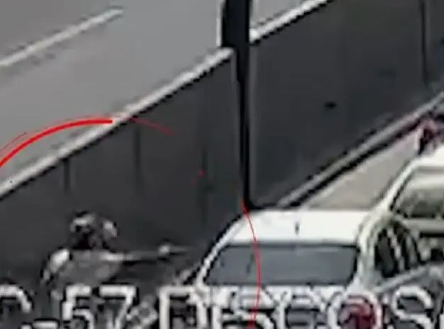 Acribillan a gallero en Panamericana Norte Acribillan a gallero en Panamericana Norte