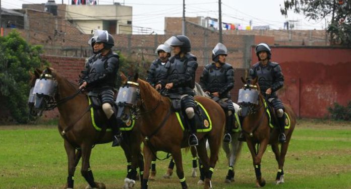 Caballo de la PNP fallece tras escapar durante evento deportivo