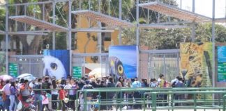 Aniversario de Lima: descubre las festividades en el Parque de las Leyendas