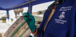 Real Felipe, una mirada en el tiempo