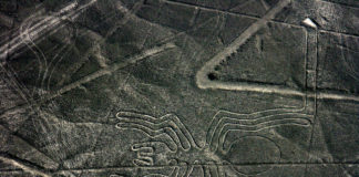 Líneas de Nasca: aterrizaje forzoso de avioneta afectó área intangible