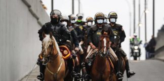 caballos