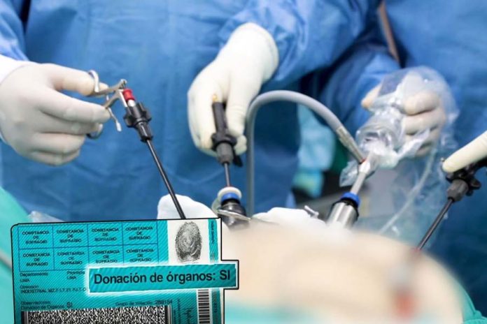 donante de órganos donante de órganos