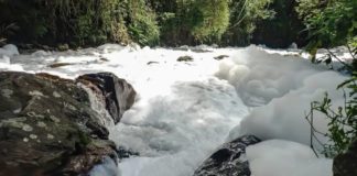 Brasil: emergencia por vertido de ácido sulfónico