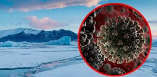 ‘Virus del Ártico’ provocará nueva pandemia 