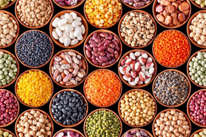 En 2023, Perú exportó legumbres por un valor de US$ 135 millones, impulsando la economía nacional.