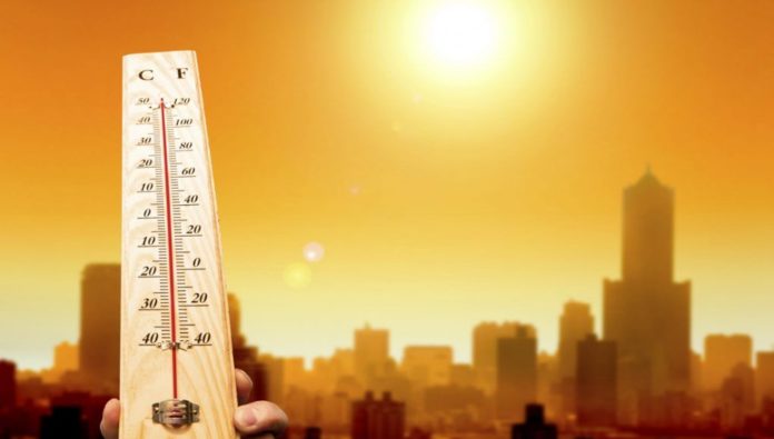 Perú Arde: Ola de Calor bordeará los 40 grados Perú Arde: Ola de Calor bordeará los 40 grados