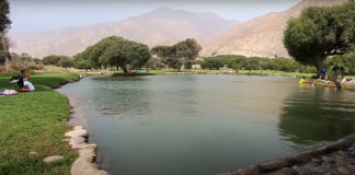 ¡Piscinas Naturales a la Vuelta de Lima desde S/8! ¡Piscinas Naturales a la Vuelta de Lima desde S/8!
