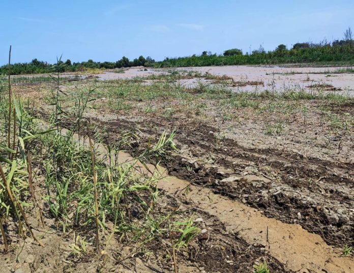 Ica sufre por desborde del río Pisco.