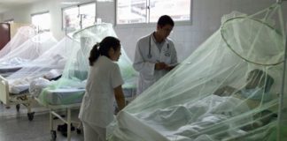 Tres fallecidos por dengue en Áncash y Cusco