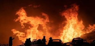 Infierno en Chile: Tragedia lleva 99 muertos y 372 desaparecidos