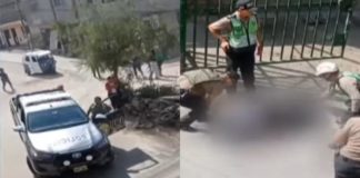 Muere en tiroteo tras robar farmacia