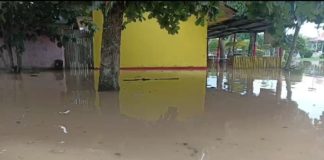 Congresista Salhuana pide ayuda por desbordes en Madre de Dios