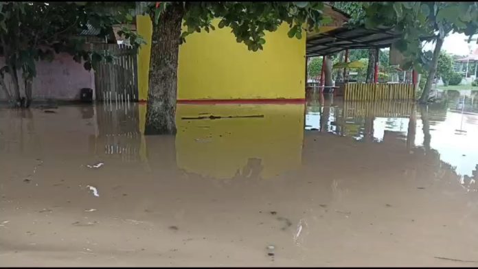 Congresista Salhuana pide ayuda por desbordes en Madre de Dios