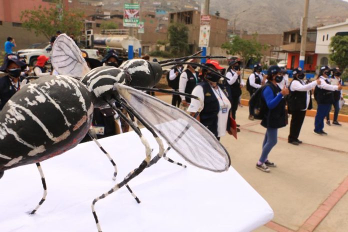 Comas: más de 9200 viviendas desinfectadas para evitar la transmisión del dengue