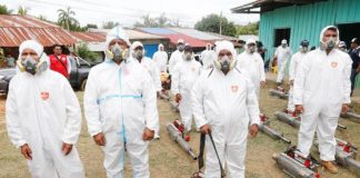 Dengue: casos de enero y febrero de este año superan a todo el 2023