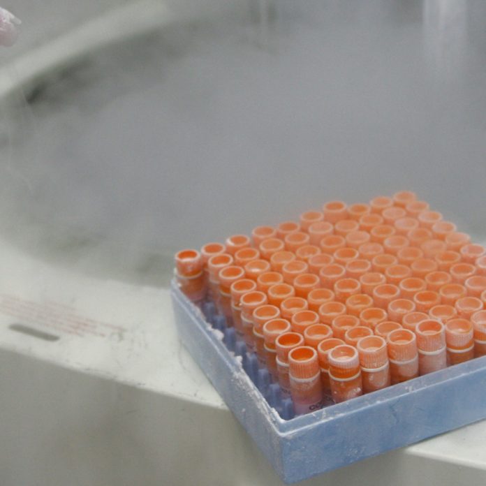 FIV en Vilo: ¿Embriones congelados son niños?