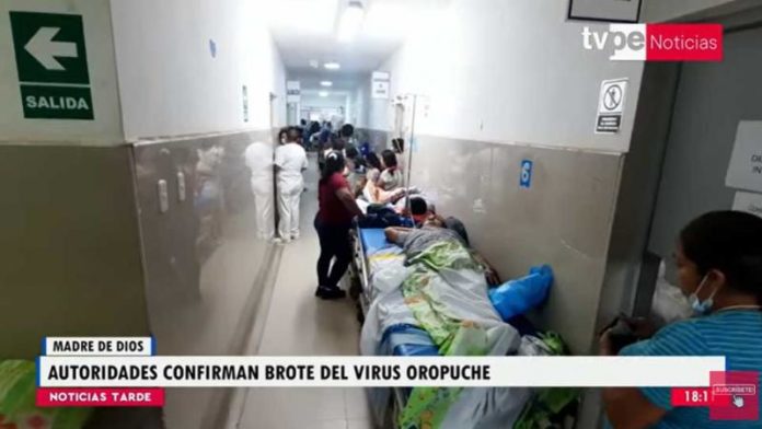 Brote de virus oropouche es confirmado en Madre de Dios