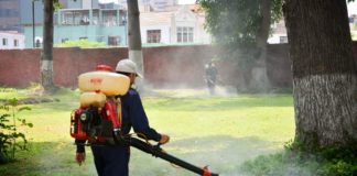Dengue: 17 fallecidos y 15 mil contagios solo en una semana
