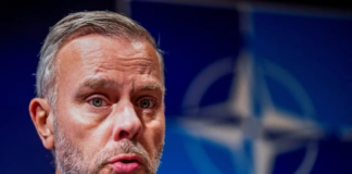 Presi del Comité Militar de la OTAN llegó a Kiev Rob Bauer