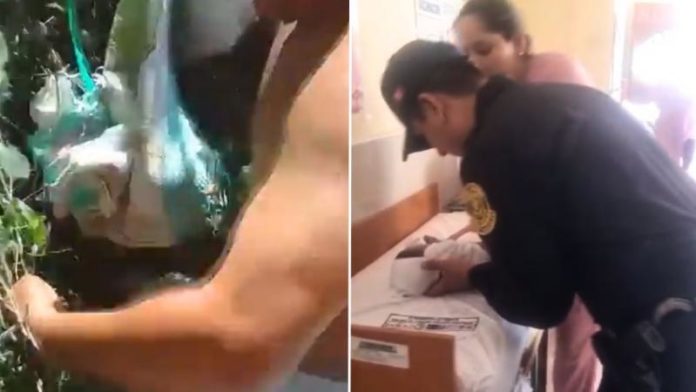 Hallan a bebé recién nacida abandonada en matorral en Tumbes