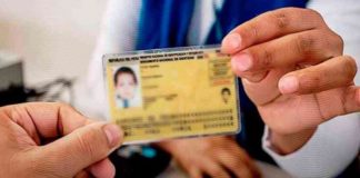 Reniec reporta que más de 100 000 adultos aún poseen DNI amarillo