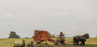 La revolución alimentaria en España La revolución alimentaria en España