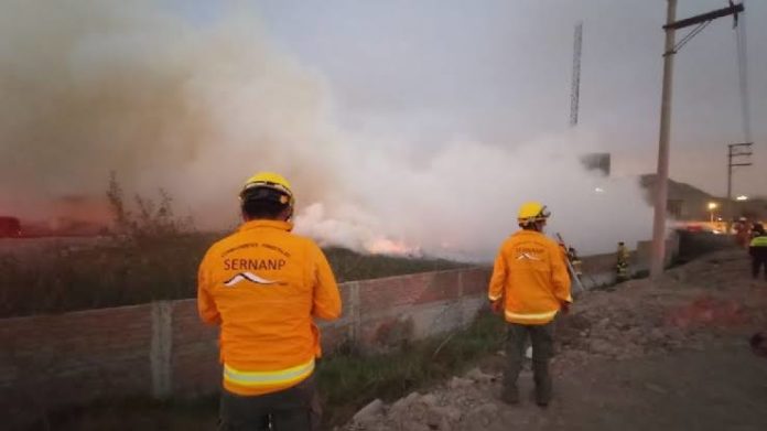 Incendio forestal en la escuela militar de chorrillos