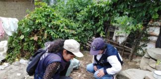 Descenso notable de hospitalizados por dengue en La Libertad