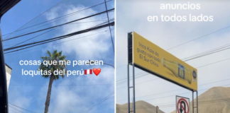 Sueco sorprende en TikTok con sus opiniones sobre Perú