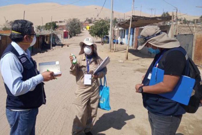 Dengue: disminuyen los contagios en Ica