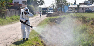 Dengue: transfieren más de S/56 millones a Minsa Dengue: transfieren más de S/56 millones a Minsa para combatir enfermedad