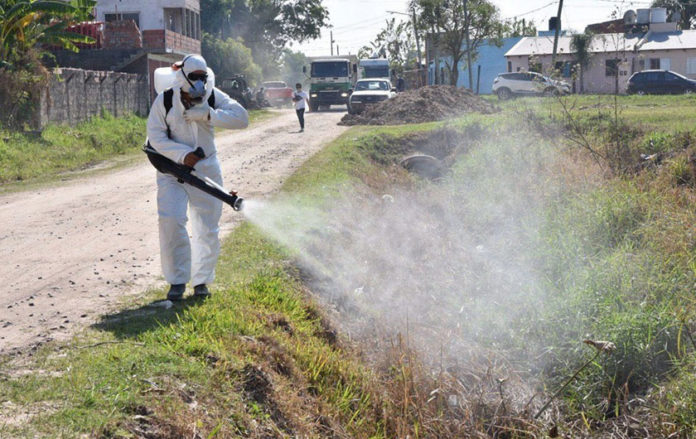 Dengue: transfieren más de S/56 millones a Minsa para combatir enfermedad