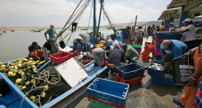 Gobierno otorgó créditos a pescadores artesanales y acuicultores