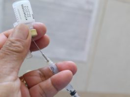 Uta: regiones contarán con ampollas contra enfermedad Uta: regiones contarán con ampollas contra enfermedad