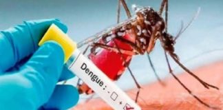 dengue