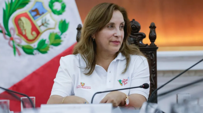 Dina Boluarte: Requieren documentos oficiales durante su cirugía plástica