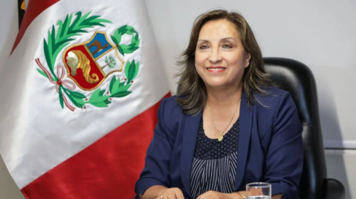 Dina Boluarte: congresista Luque pide sancionar a presidenta por cirugía estética